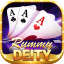 new rummy 500 bonus logo