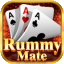 indian rummy 2