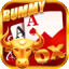 rummy holi game